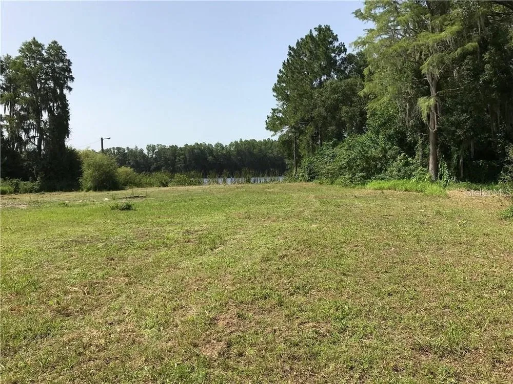 Reliable yard cleanup service in Eagle Lake, FL - Chaney's Environmental Services