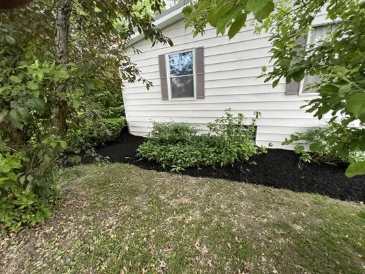 Chaney’s Four Seasons Lawncare Logo