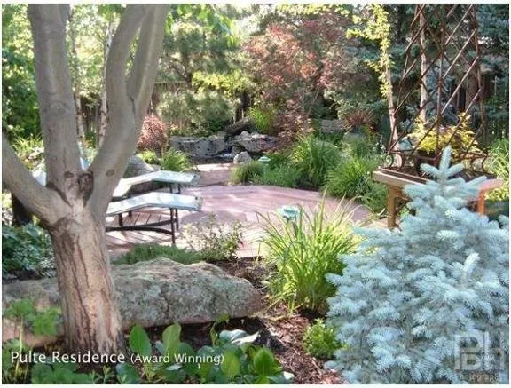 Custom lawn mowing service experts serving Longmont, CO - Changing Landscapes