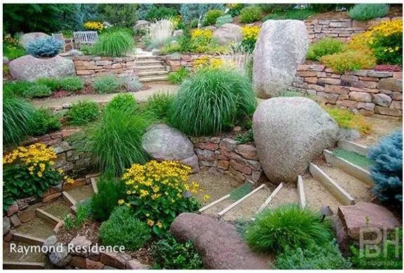 Expert lawn care service for homes in Longmont, CO by Changing Landscapes