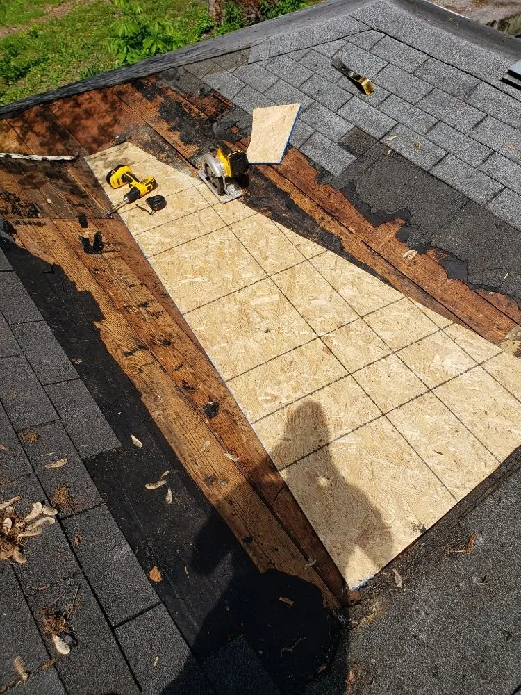 Affordable lawn care service in Carbondale, IL - Chango's Roofing Services