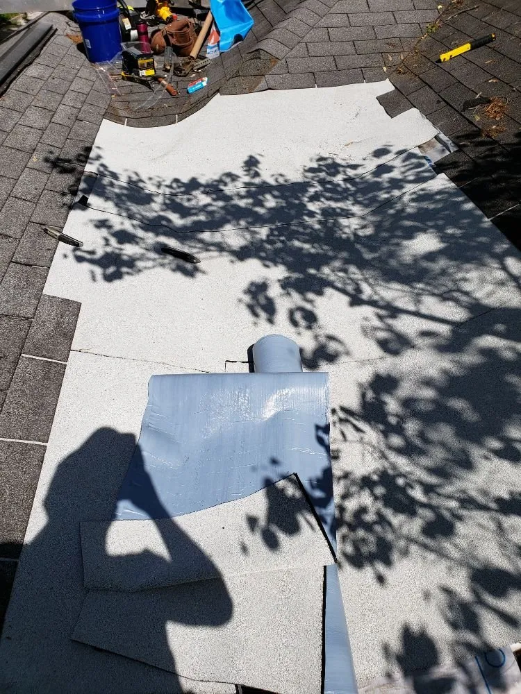 Professional outdoor landscaping experts serving Carbondale, IL - Chango's Roofing Services