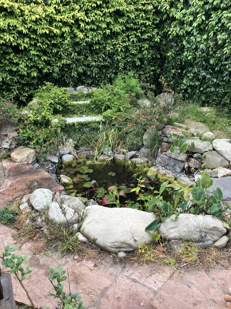 Custom yard cleanup service with custom design in Ventura, CA by Channel Islands Landscape and Design