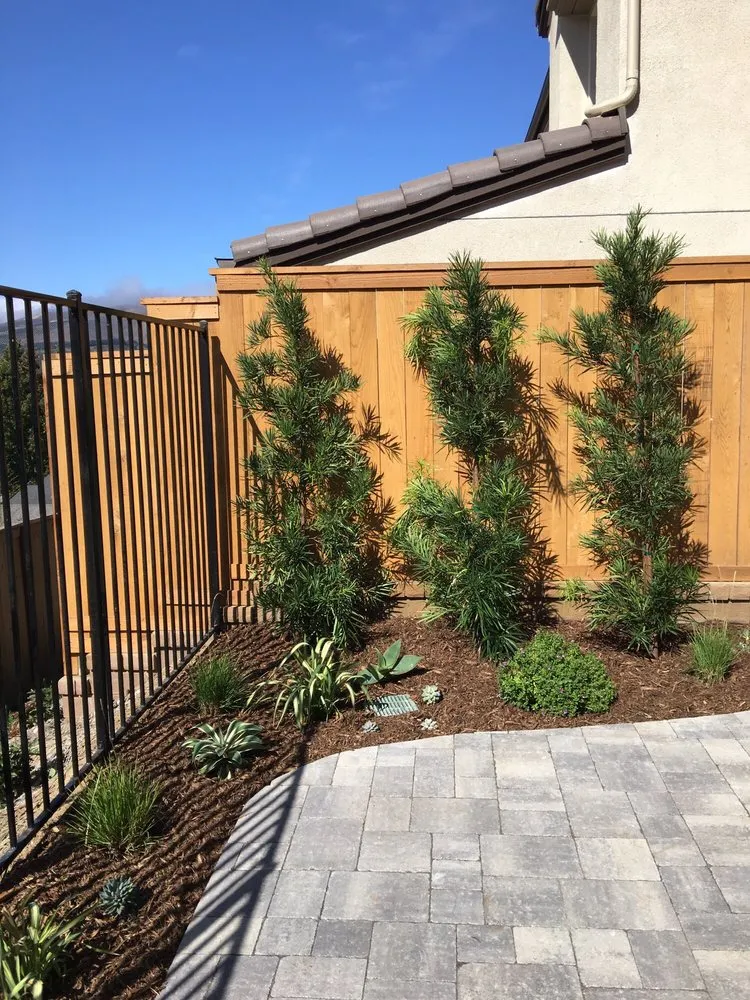 Trusted lawn mowing service experts serving Ventura, CA - Channel Islands Landscape and Design