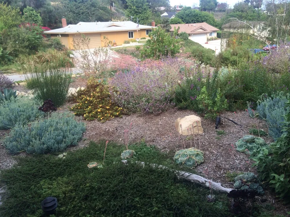 Local residential landscaping in Ventura, CA - Channel Islands Landscape and Design