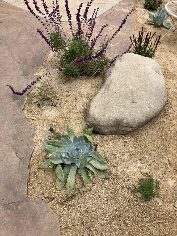 Professional landscape design in Ventura, CA by Channel Islands Landscape and Design