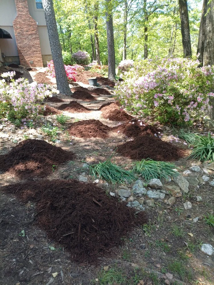 Affordable residential landscaping experts serving North Little Rock, AR - Channell Landscape Construction