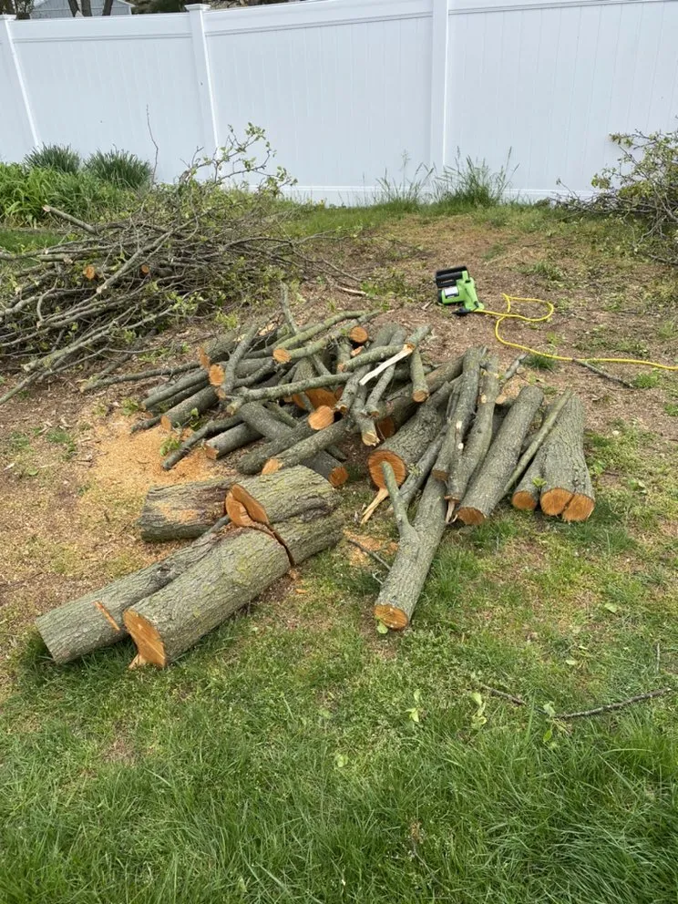 Local yard maintenance for residential properties across Clayton, NJ - Channing’s X-Ceptional Cleaning Service