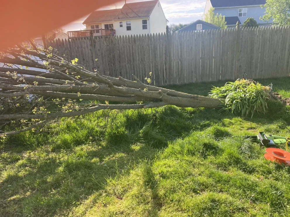 Local outdoor landscaping for outdoor upgrades in Clayton, NJ by Channing’s X-Ceptional Cleaning Service