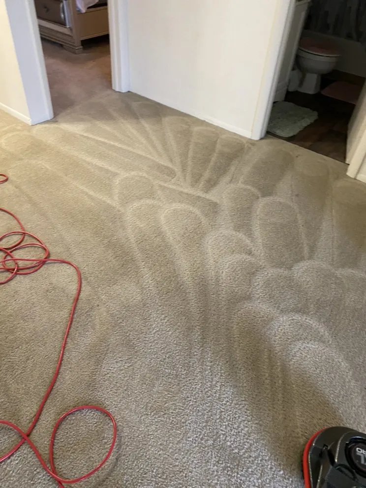 Professional garden landscaping in Clayton, NJ by Channing’s X-Ceptional Cleaning Service