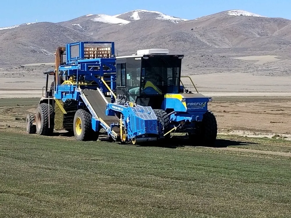 Expert yard cleanup service experts serving Kaysville, UT - Chanshare Sod Farm