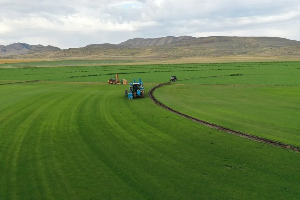 Custom outdoor landscaping in Kaysville, UT - Chanshare Sod Farm