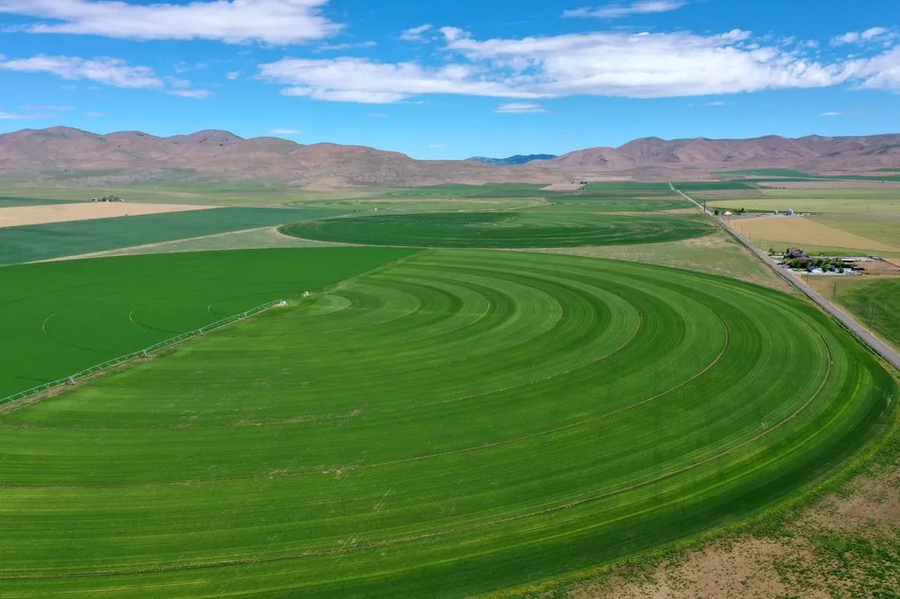 Top-rated lawn care service in Kaysville, UT - Chanshare Sod Farm