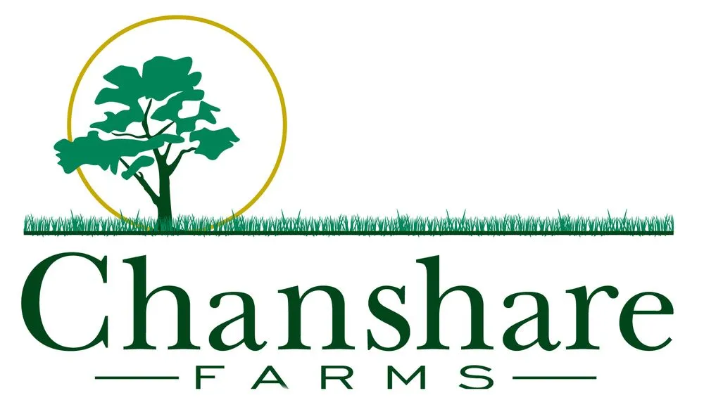 Affordable landscape design for residential properties in Kaysville, UT by Chanshare Sod Farm