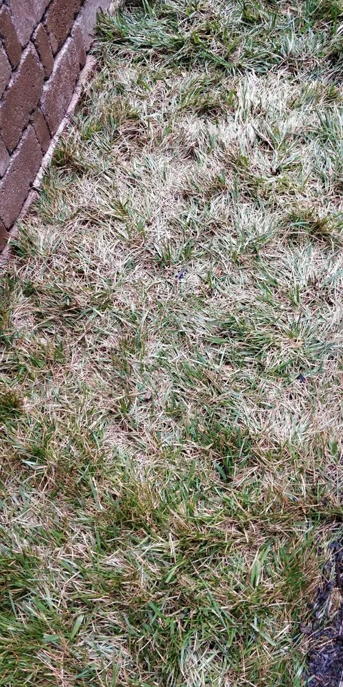 Professional landscaping services in Sterling, VA by Chantilly Turf Farms