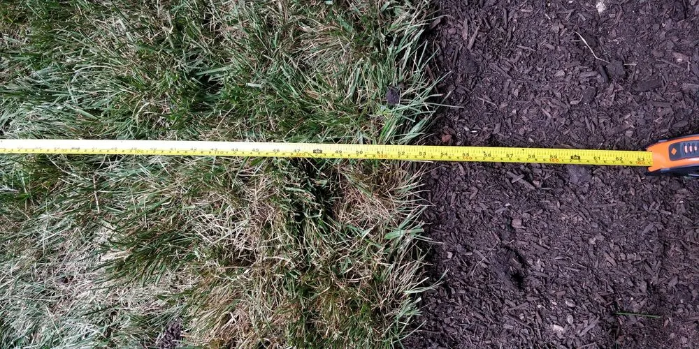 Affordable landscape design in Sterling, VA by Chantilly Turf Farms