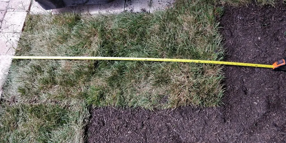 Trusted outdoor landscaping in Sterling, VA by Chantilly Turf Farms