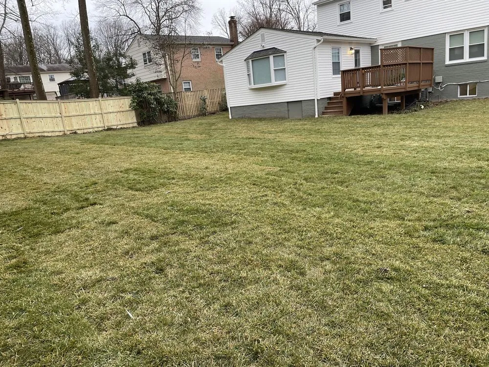 Top-rated yard cleanup service for homes in Sterling, VA by Chantilly Turf Farms