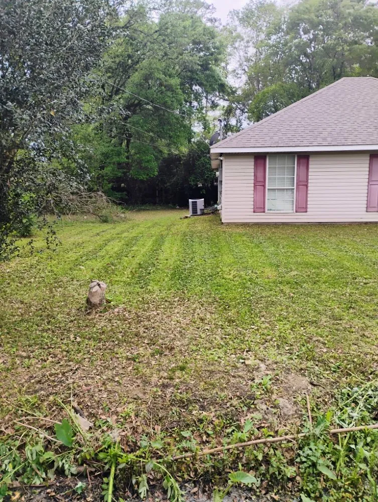 Expert yard cleanup service in Covington, LA - Chaotic Productions