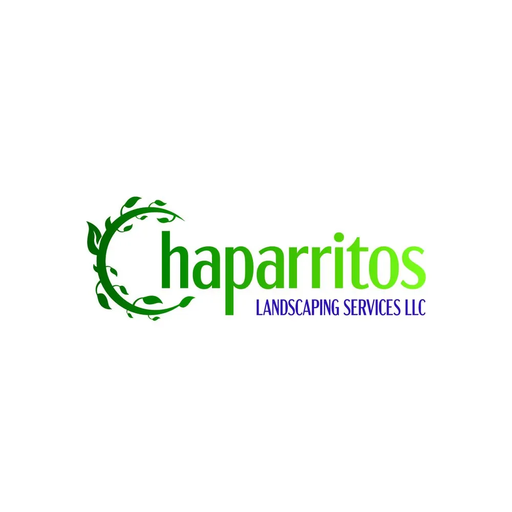Professional landscape design for year-round maintenance across Saint Paul, MN - Chaparritos Landscaping Services