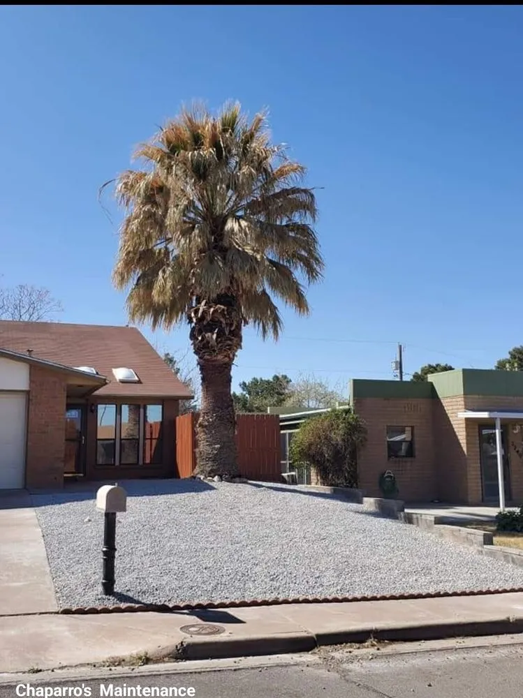 Reliable lawn care service with custom design across Alamogordo, NM - Chaparros Personal Maintenance