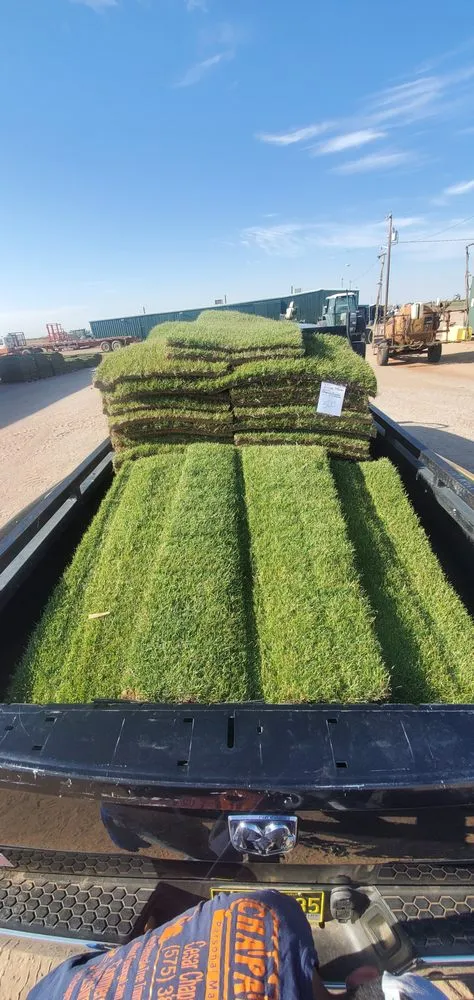 Professional outdoor landscaping for outdoor upgrades in Alamogordo, NM by Chaparros Personal Maintenance