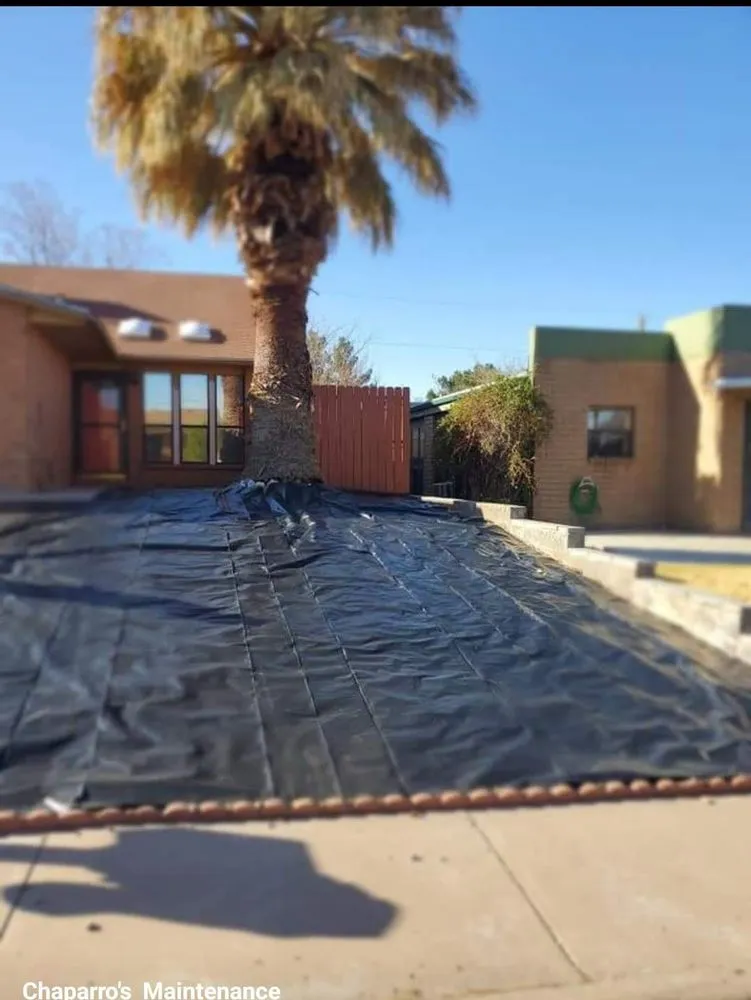 Top-rated landscape installation experts serving Alamogordo, NM - Chaparros Personal Maintenance