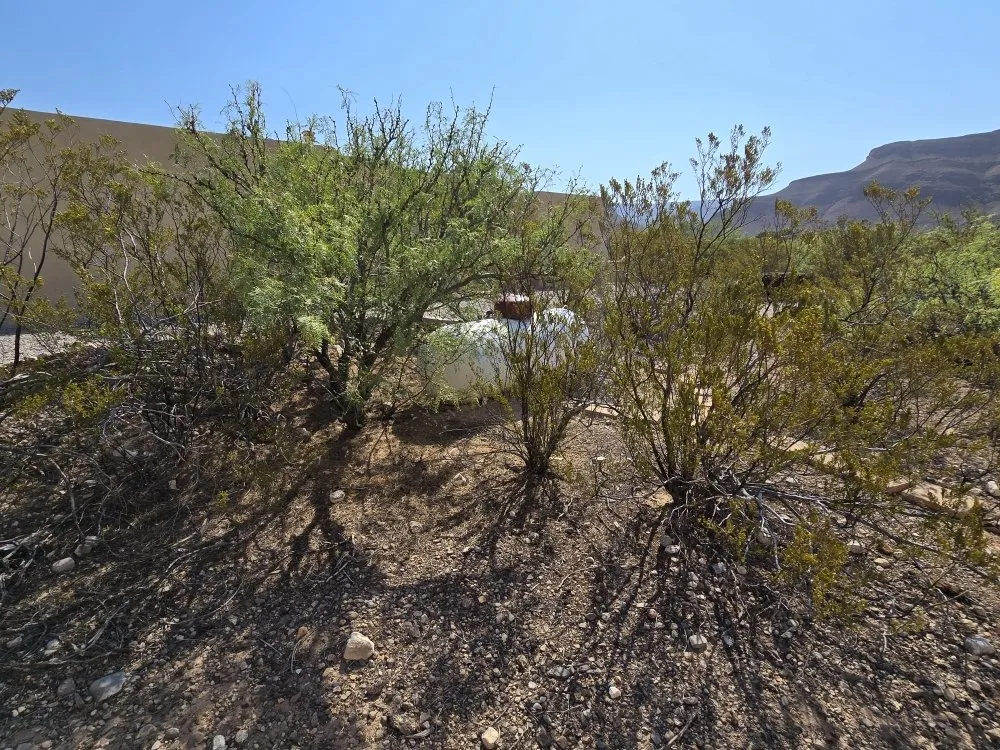 Reliable outdoor landscaping for residential properties across Alamogordo, NM - Chaparros Personal Maintenance