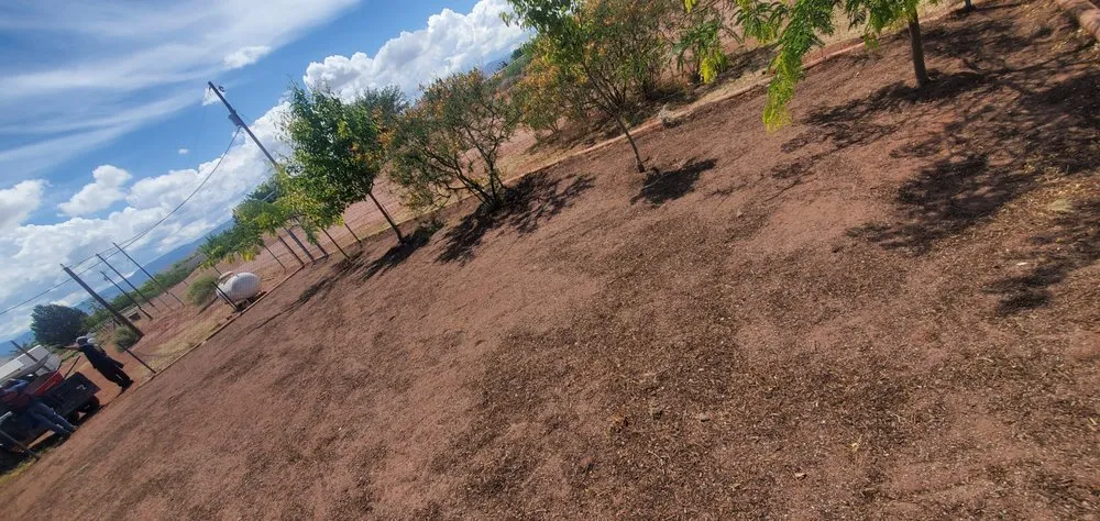 Reliable landscape design in Alamogordo, NM by Chaparros Personal Maintenance