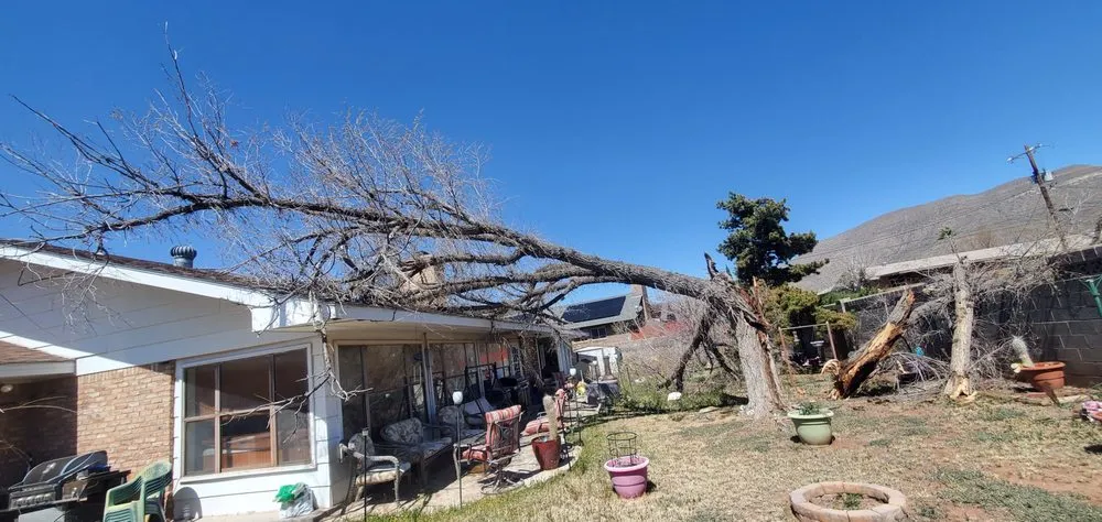 Trusted lawn mowing service in Alamogordo, NM - Chaparros Personal Maintenance