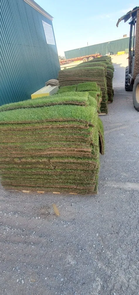 Top-rated landscaping services in Alamogordo, NM by Chaparros Personal Maintenance