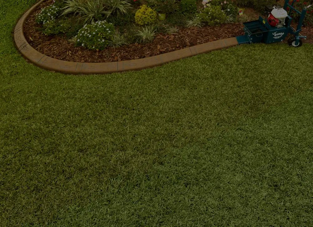 Trusted landscape design in Wesley Chapel, FL - Chapel Curbz