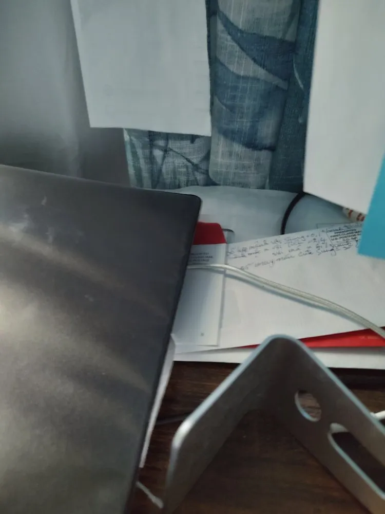 Reliable garden landscaping experts serving Wesley Chapel, FL - Chapel Curbz