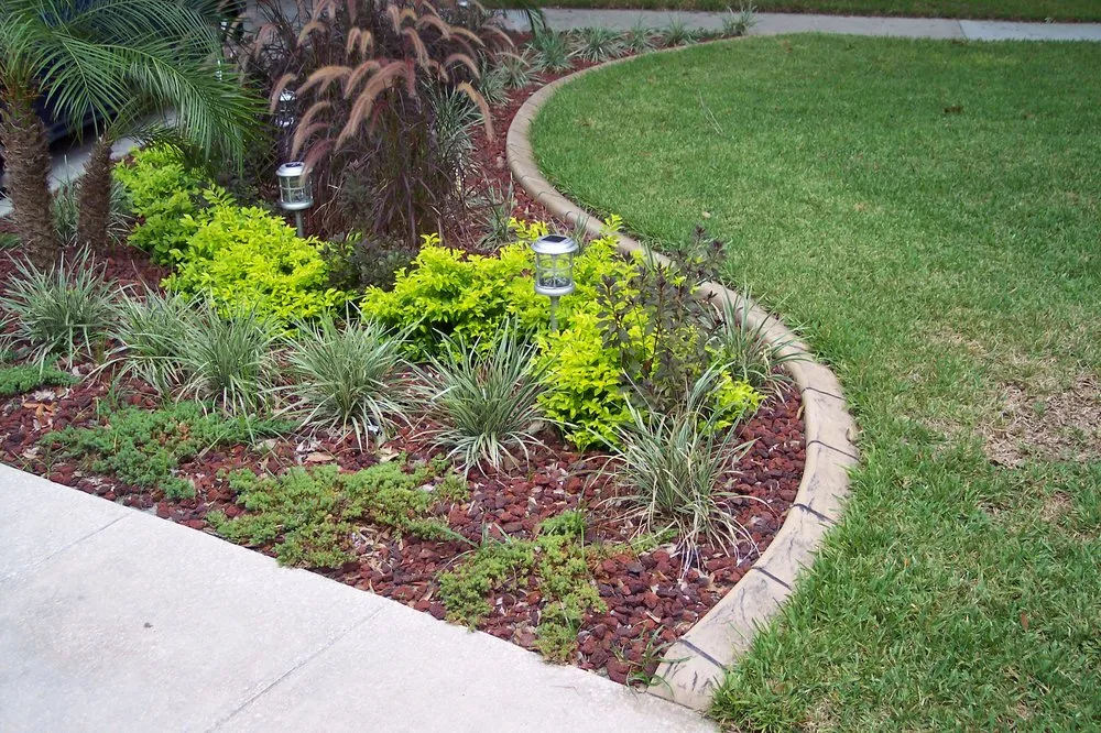 Local yard cleanup service for year-round maintenance in Wesley Chapel, FL by Chapel Curbz