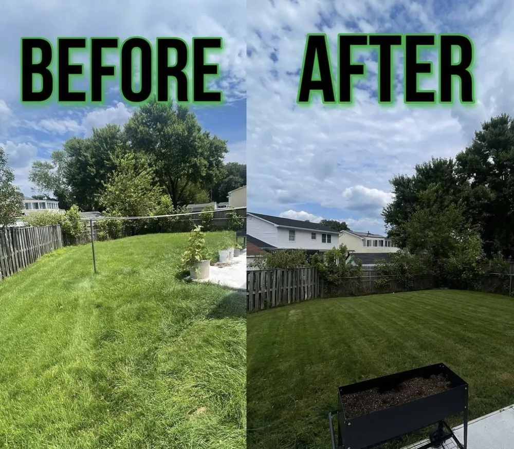 Affordable landscape installation in Baltimore, MD - Chapelgate Junk Removal And Landscaping