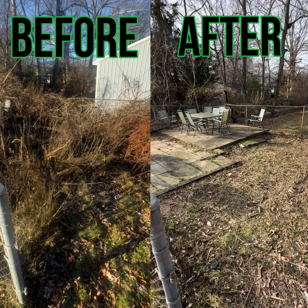 Reliable outdoor landscaping in Baltimore, MD by Chapelgate Junk Removal And Landscaping