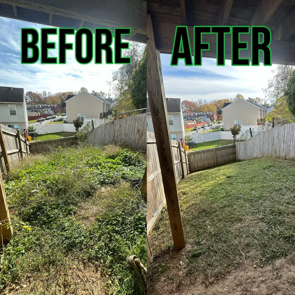 Reliable garden landscaping for residential properties in Baltimore, MD by Chapelgate Junk Removal And Landscaping