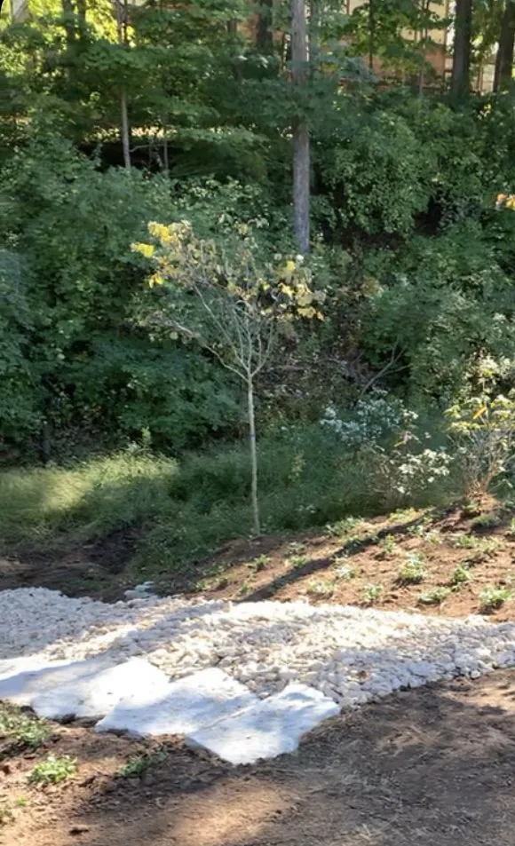 Local lawn care service experts serving Milford, OH - Chapeta’s Landscaping