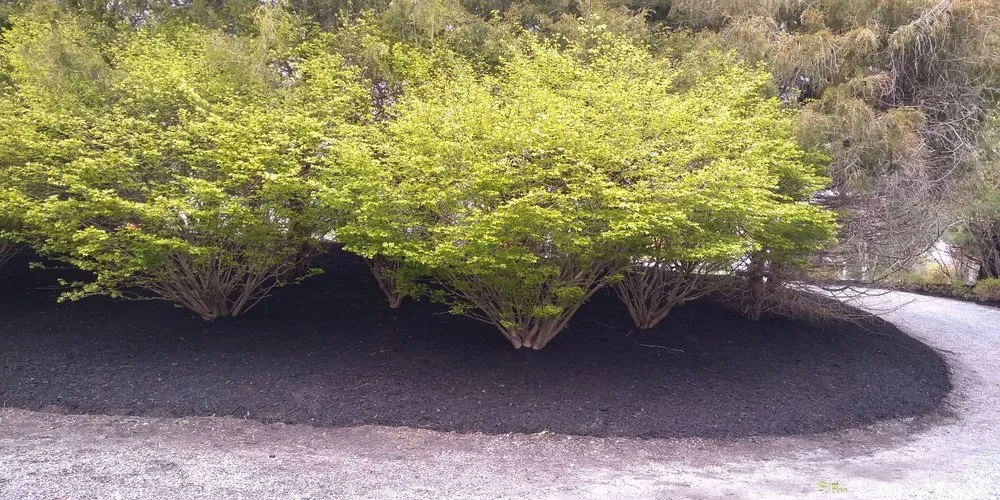 Top-rated residential landscaping near you in Shirley, NY by Chapete Landscaping