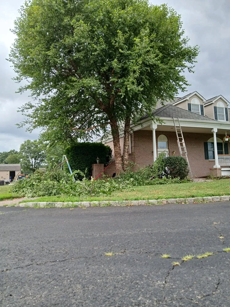 Top-rated landscape design for homes across New Brunswick, NJ - Chapin Landscaping