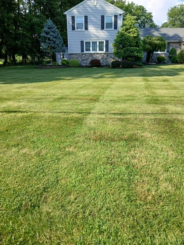 Expert yard maintenance for beautiful yards in New Brunswick, NJ by Chapin Landscaping