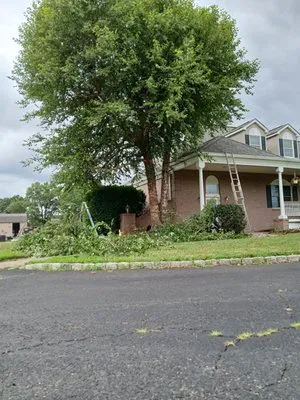 Chapin Landscaping Logo