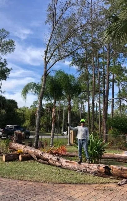 Custom residential landscaping for homes across Naples, FL - Chapin Tree Climber
