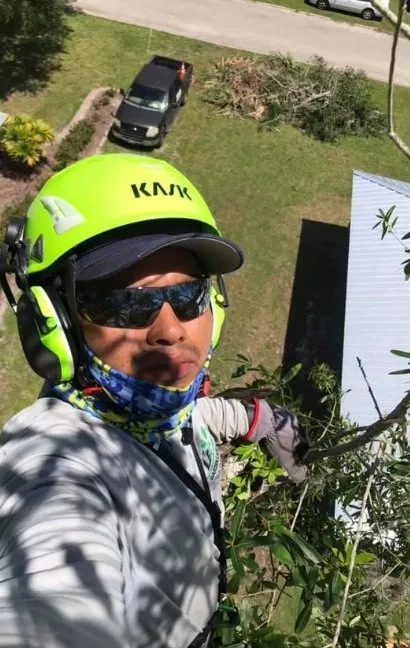Reliable landscape design experts serving Naples, FL - Chapin Tree Climber