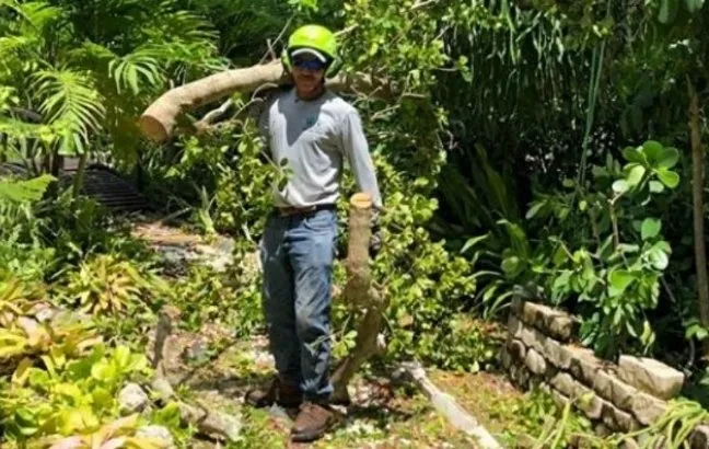 Reliable outdoor landscaping experts serving Naples, FL - Chapin Tree Climber