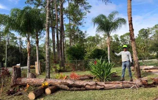 Local residential landscaping for residential properties in Naples, FL by Chapin Tree Climber