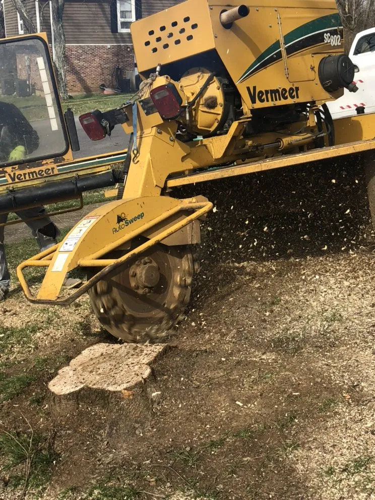 Expert garden landscaping in Shelbyville, KY by Chapin Tree Service