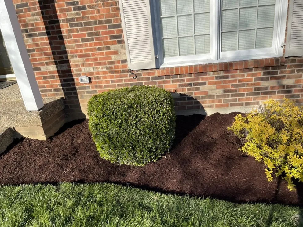 Custom residential landscaping in Shelbyville, KY - Chapin Tree Service