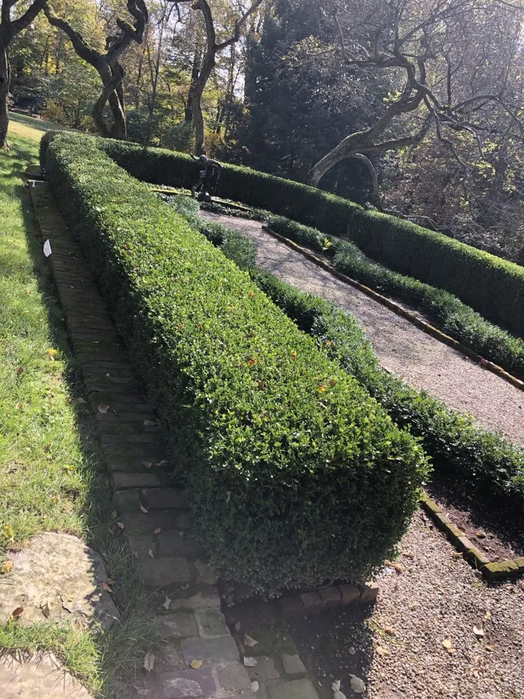 Expert landscaping services in Shelbyville, KY by Chapin Tree Service