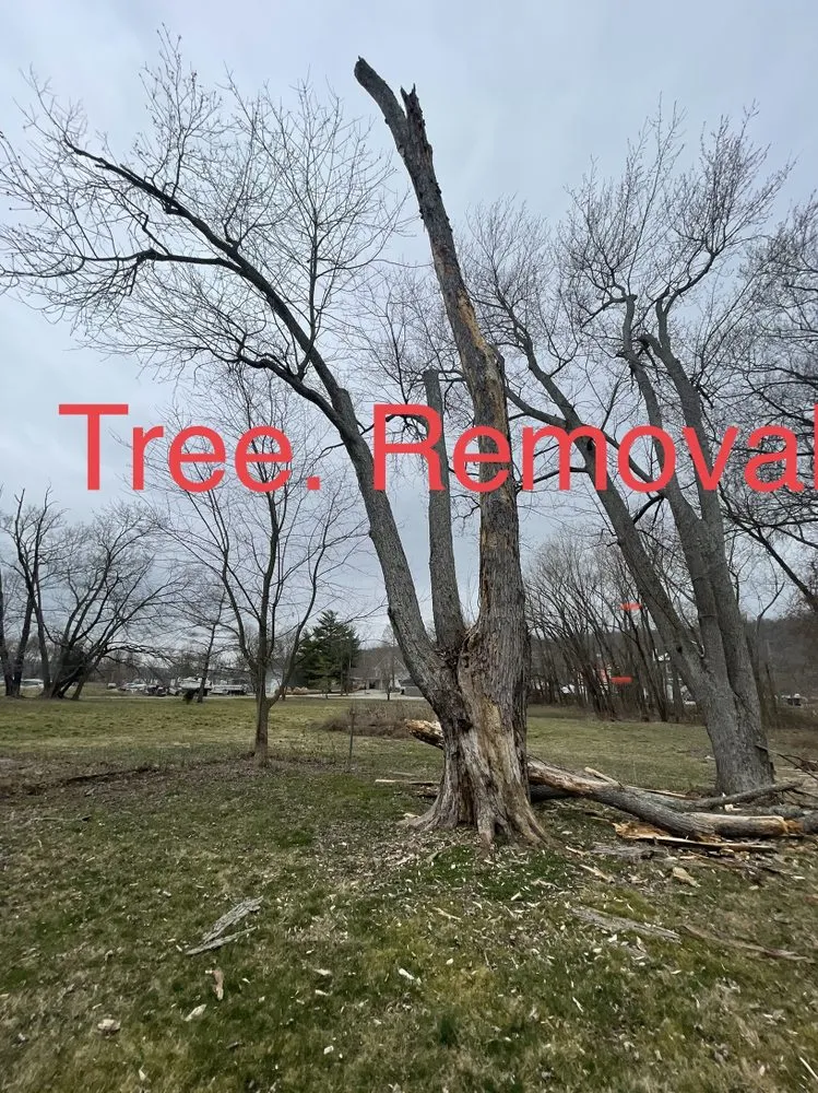 Affordable landscaping services near you in Shelbyville, KY by Chapin Tree Service